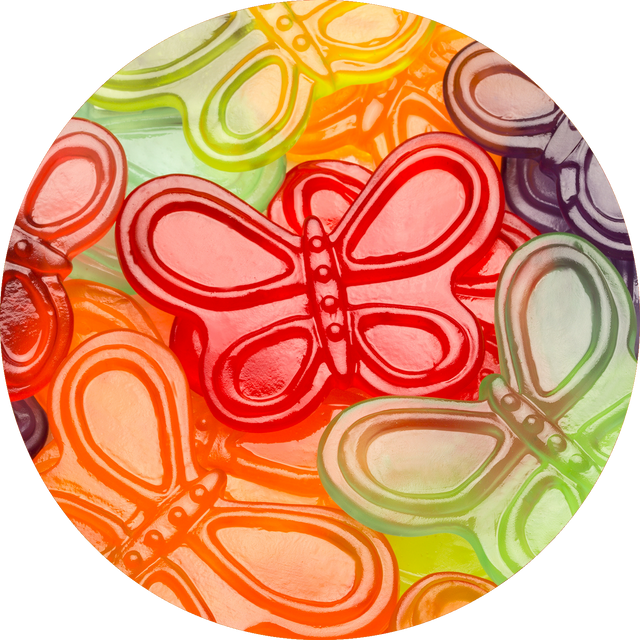 Large Gummi Butterflies - Image 3