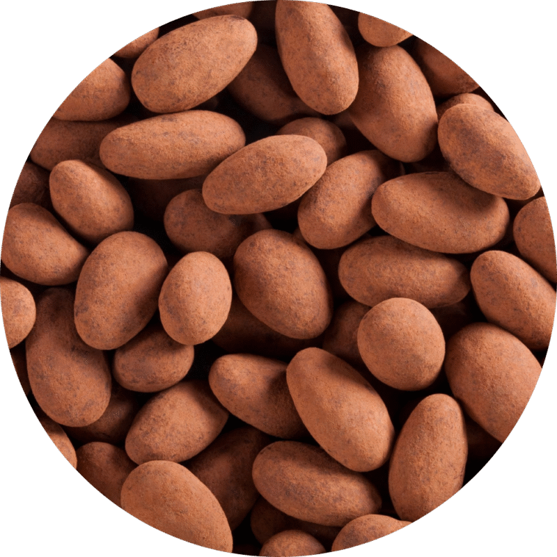 Milk Chocolate Cocoa Dusted Almonds – Crunchy & Decadent Milk Chocolate Cocoa Dusted Almonds – Crunchy & Decadent