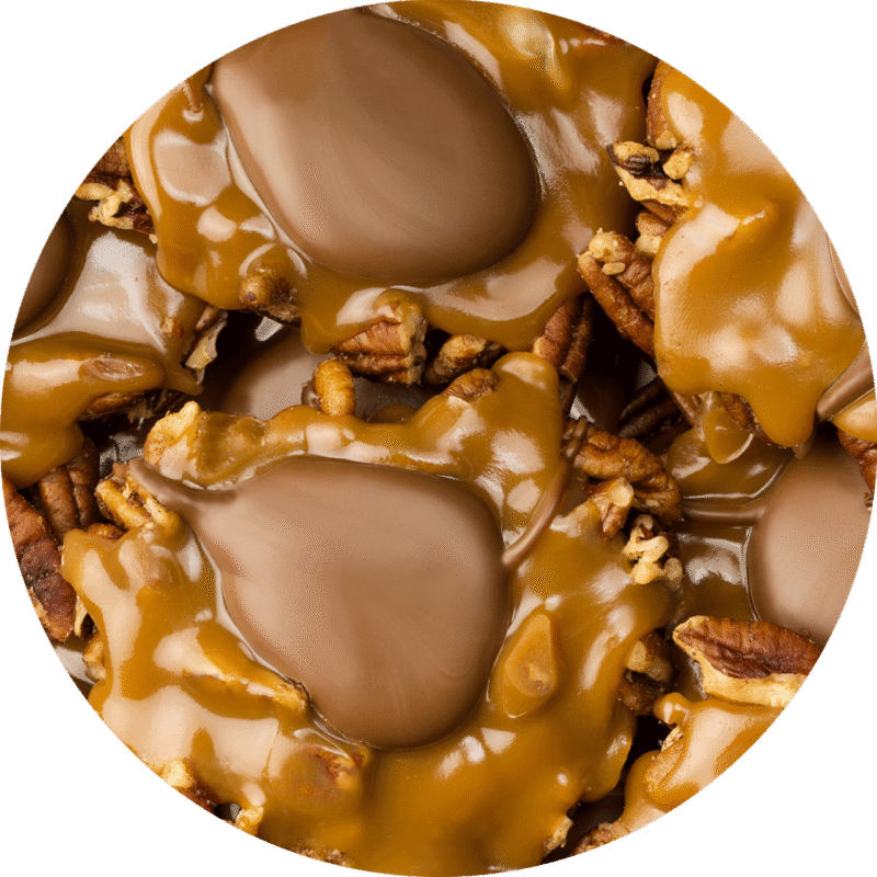 Jumbo Pecan Patties – Milk Chocolate Indulgence Jumbo Pecan Patties – Milk Chocolate Indulgence