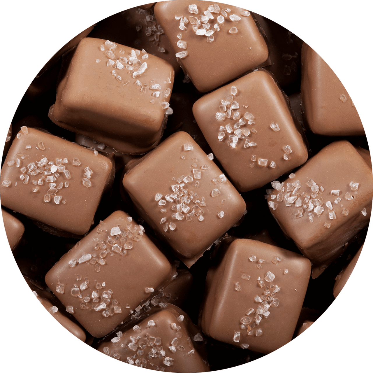 Milk Chocolate Peanut Butter Meltaways with Sea Salt